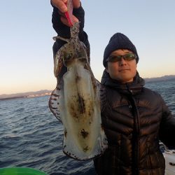 フィッシングボート空風(そらかぜ) 釣果