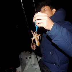 フィッシングボート空風(そらかぜ) 釣果