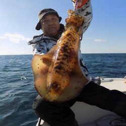 フィッシングボート空風(そらかぜ) 釣果