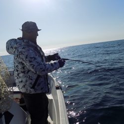 フィッシングボート空風(そらかぜ) 釣果