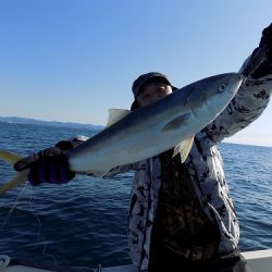 フィッシングボート空風(そらかぜ) 釣果