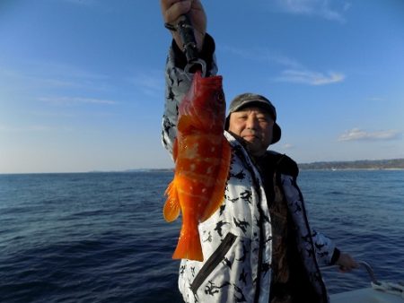 フィッシングボート空風(そらかぜ) 釣果