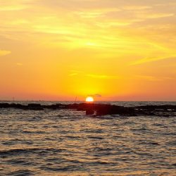 フィッシングボート空風(そらかぜ) 釣果