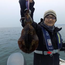 フィッシングボート空風(そらかぜ) 釣果