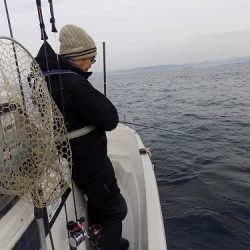 フィッシングボート空風(そらかぜ) 釣果