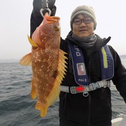 フィッシングボート空風(そらかぜ) 釣果