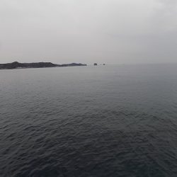 フィッシングボート空風(そらかぜ) 釣果