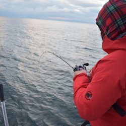 Fisherman Dreams DI 釣果