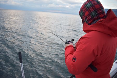 Fisherman Dreams DI 釣果