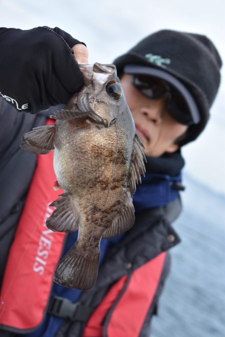 Fisherman Dreams DI 釣果