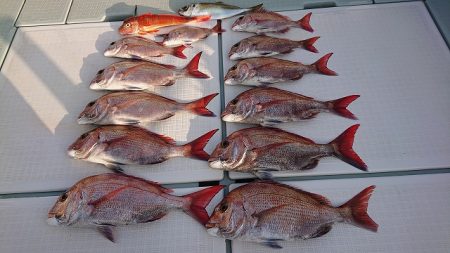 フィッシングボートACE（エース） 釣果