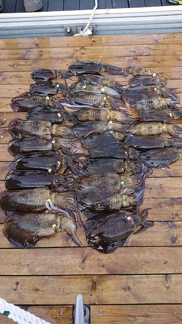 フィッシングボートACE（エース） 釣果