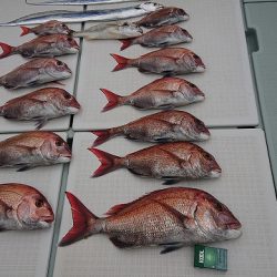 フィッシングボートACE（エース） 釣果