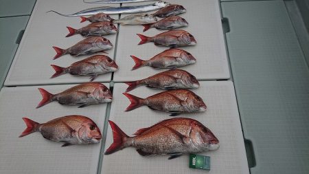 フィッシングボートACE（エース） 釣果