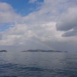 フィッシングボートACE(エース) 釣果