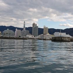 フィッシングボートACE(エース) 釣果