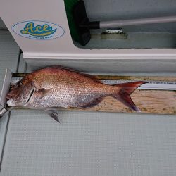 フィッシングボートACE（エース） 釣果