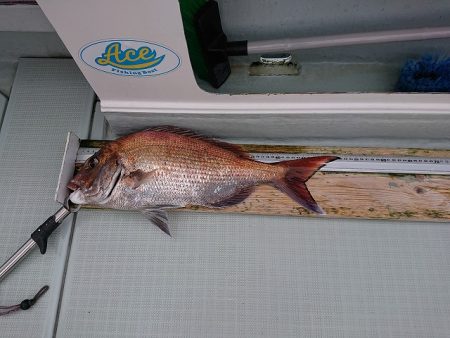 フィッシングボートACE（エース） 釣果