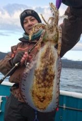 愛海丸 釣果