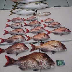 フィッシングボートACE（エース） 釣果