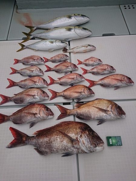 フィッシングボートACE（エース） 釣果