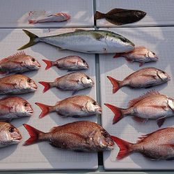 フィッシングボートACE（エース） 釣果