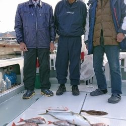 フィッシングボートACE（エース） 釣果