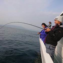 フィッシングボートACE(エース) 釣果