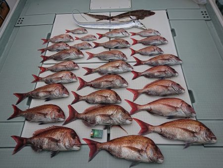 フィッシングボートACE(エース) 釣果