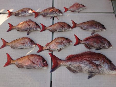 フィッシングボートACE（エース） 釣果