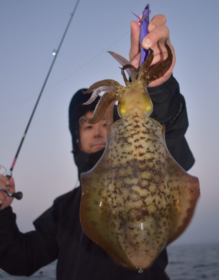 Fisherman Dreams DI 釣果