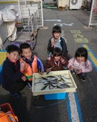 和歌山マリーナシティ釣り公園 釣果