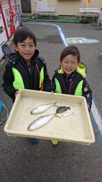 和歌山マリーナシティ釣り公園 釣果