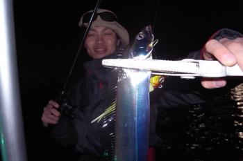 シーマジカル 釣果