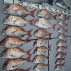 磯部釣船 直栄丸 釣果