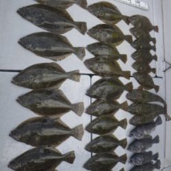 磯部釣船 直栄丸 釣果