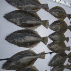 磯部釣船 直栄丸 釣果