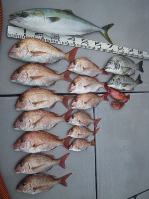 磯部釣船 直栄丸 釣果