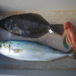 磯部釣船 直栄丸 釣果