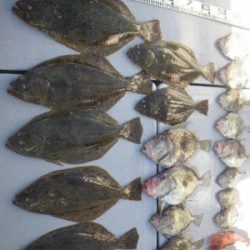 磯部釣船 直栄丸 釣果