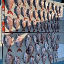 海人丸（うみんちゅまる） 釣果