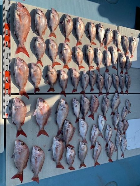 海人丸（うみんちゅまる） 釣果