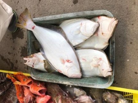 Sea Frend 片山丸 釣果