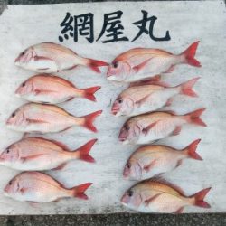 網屋丸 釣果