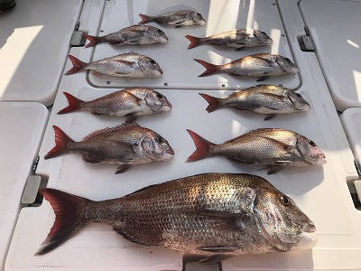 フィシングボートAir(エアー) 釣果