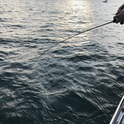 フィシングボートAir(エアー) 釣果