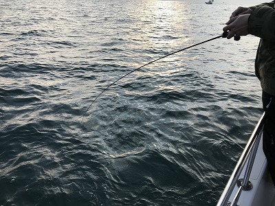 フィシングボートAir(エアー) 釣果