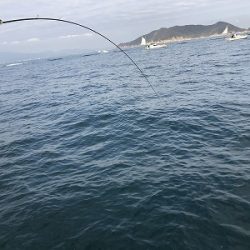 フィシングボートAir(エアー) 釣果