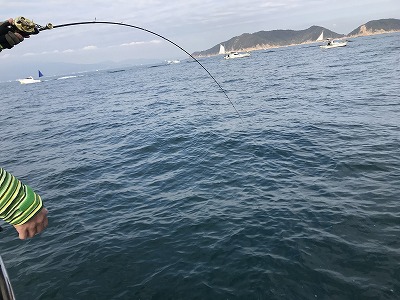 フィシングボートAir(エアー) 釣果