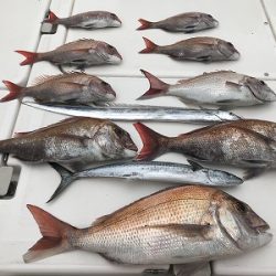 フィシングボートAir(エアー) 釣果